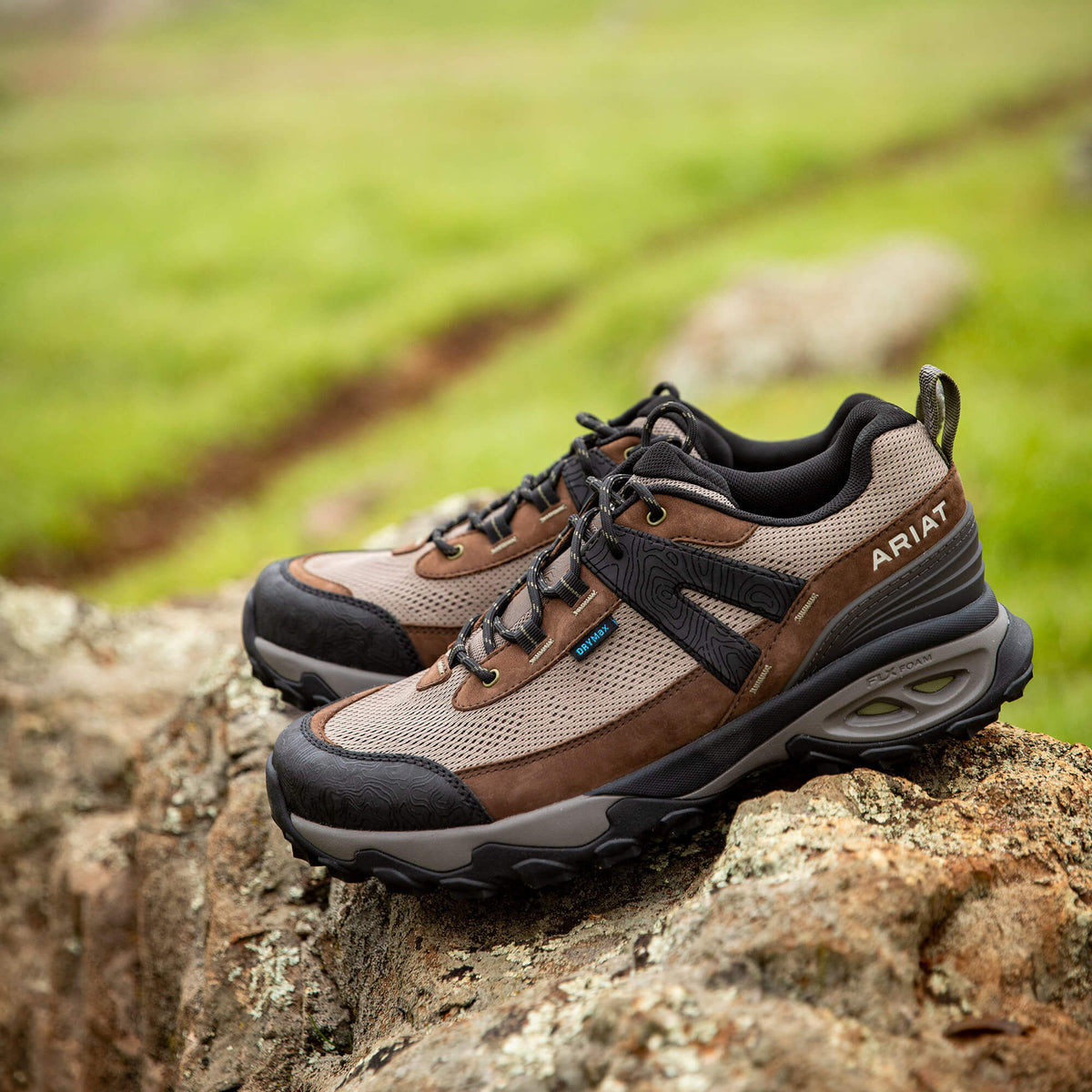 Ariat Trending | Traverse Low Waterproof Hiking Shoe