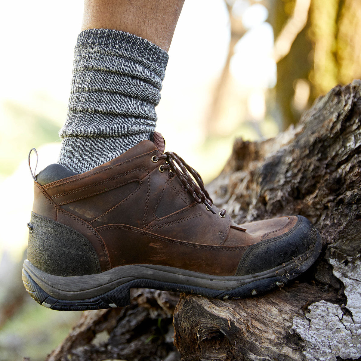 Ariat Trending | Terrain Waterproof Boot