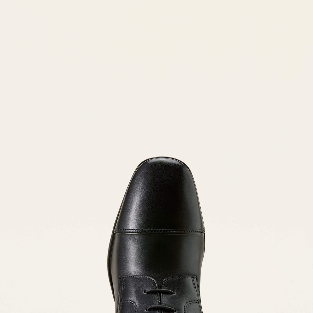 Ariat Sale | Palisade Field Tall Riding Boot