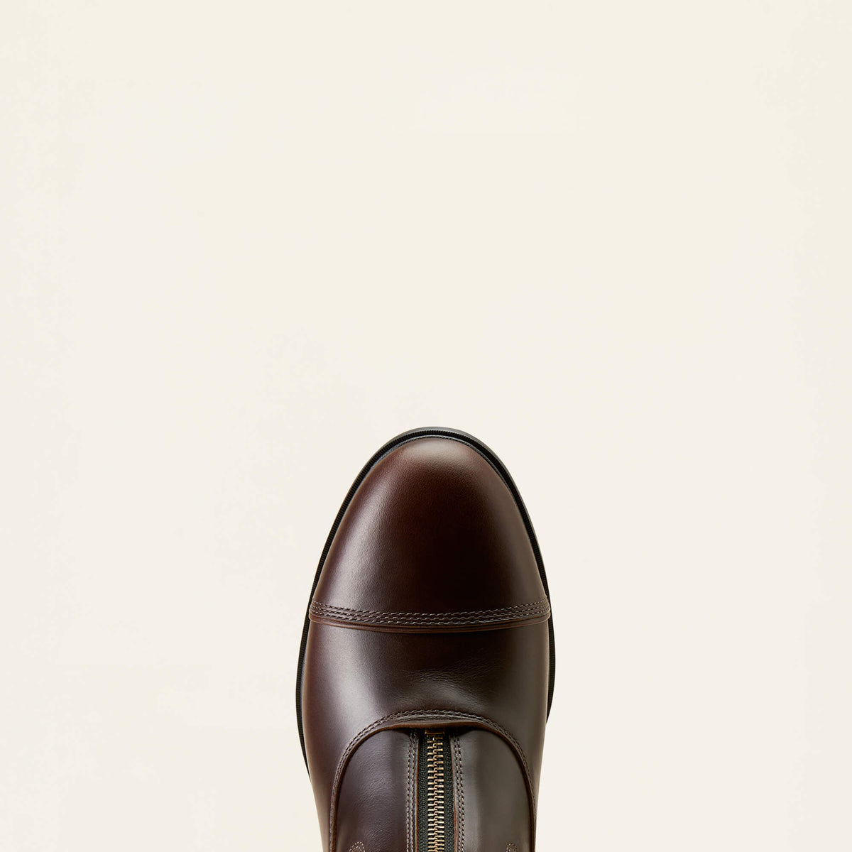 Ariat Value | Devon Zip Paddock Boot