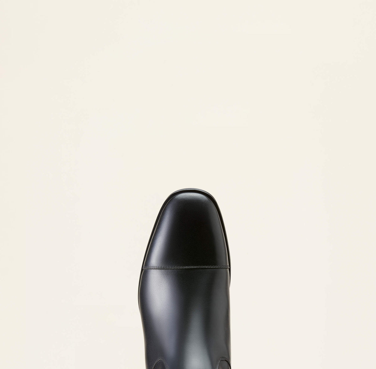 Ariat Popular | Ravello Dress Tall Riding Boot