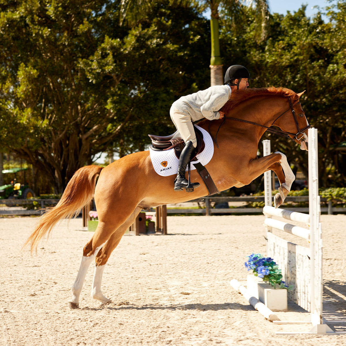 Ariat Essential | Devon Tall Riding Boot
