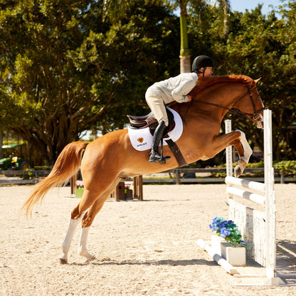 Ariat Essential | Devon Tall Riding Boot