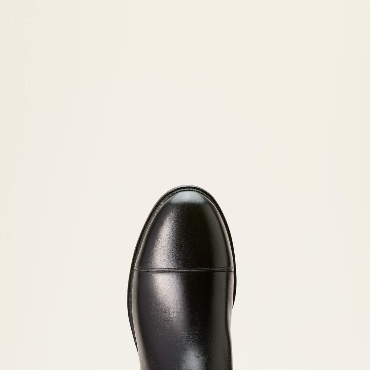 Ariat Essential | Devon Tall Riding Boot