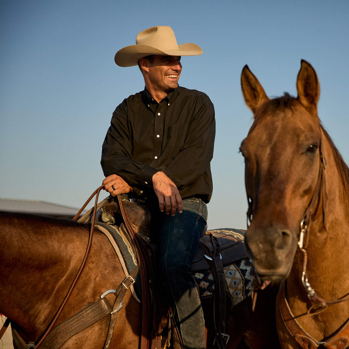 Ariat Deals | Wrinkle Free Solid Classic Fit Shirt