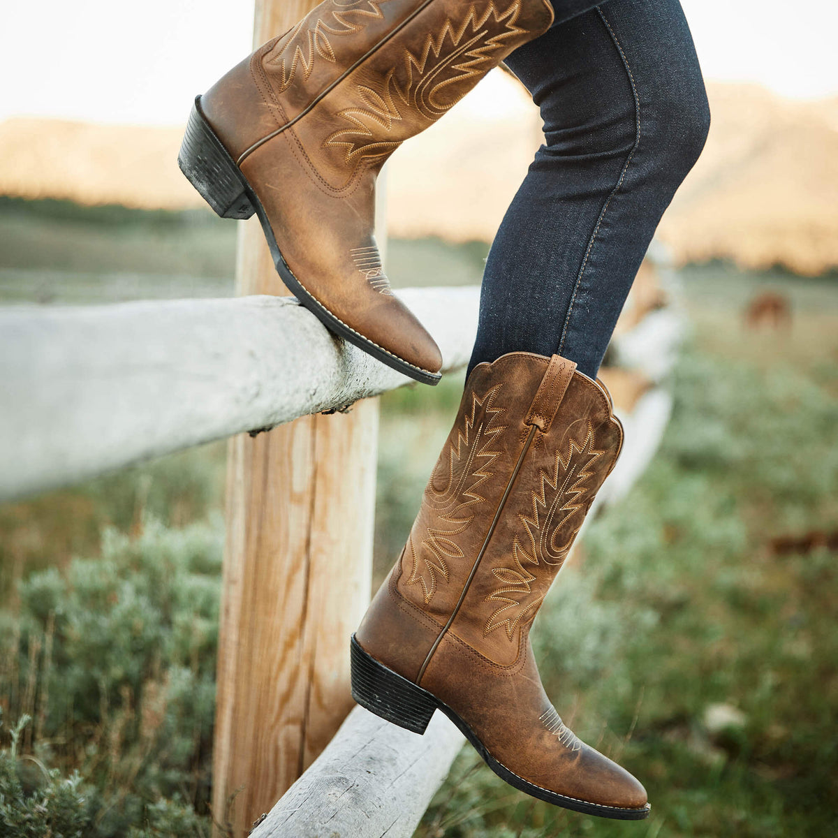 Ariat Everyday | Heritage R Toe Western Boot