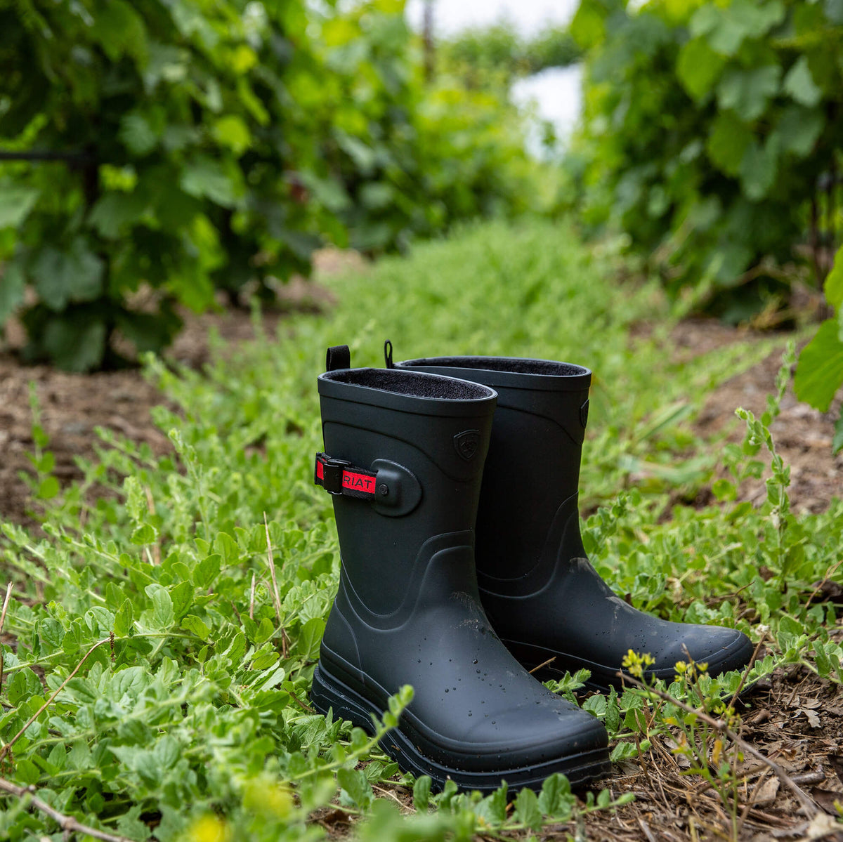 Ariat Exclusive | Kelmarsh Mid Rubber Boot