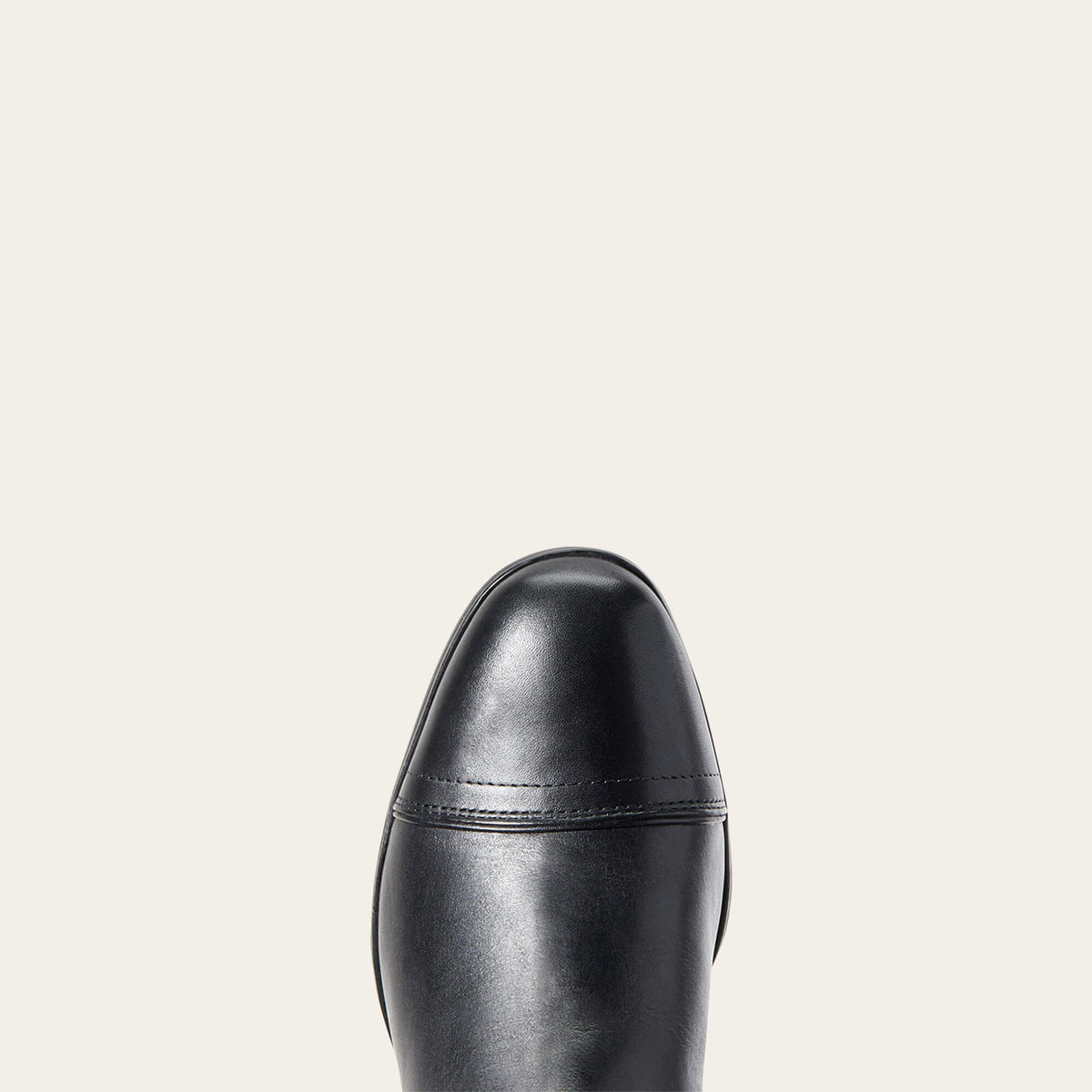 Ariat Signature | Kinsley Dress Tall Riding Boot