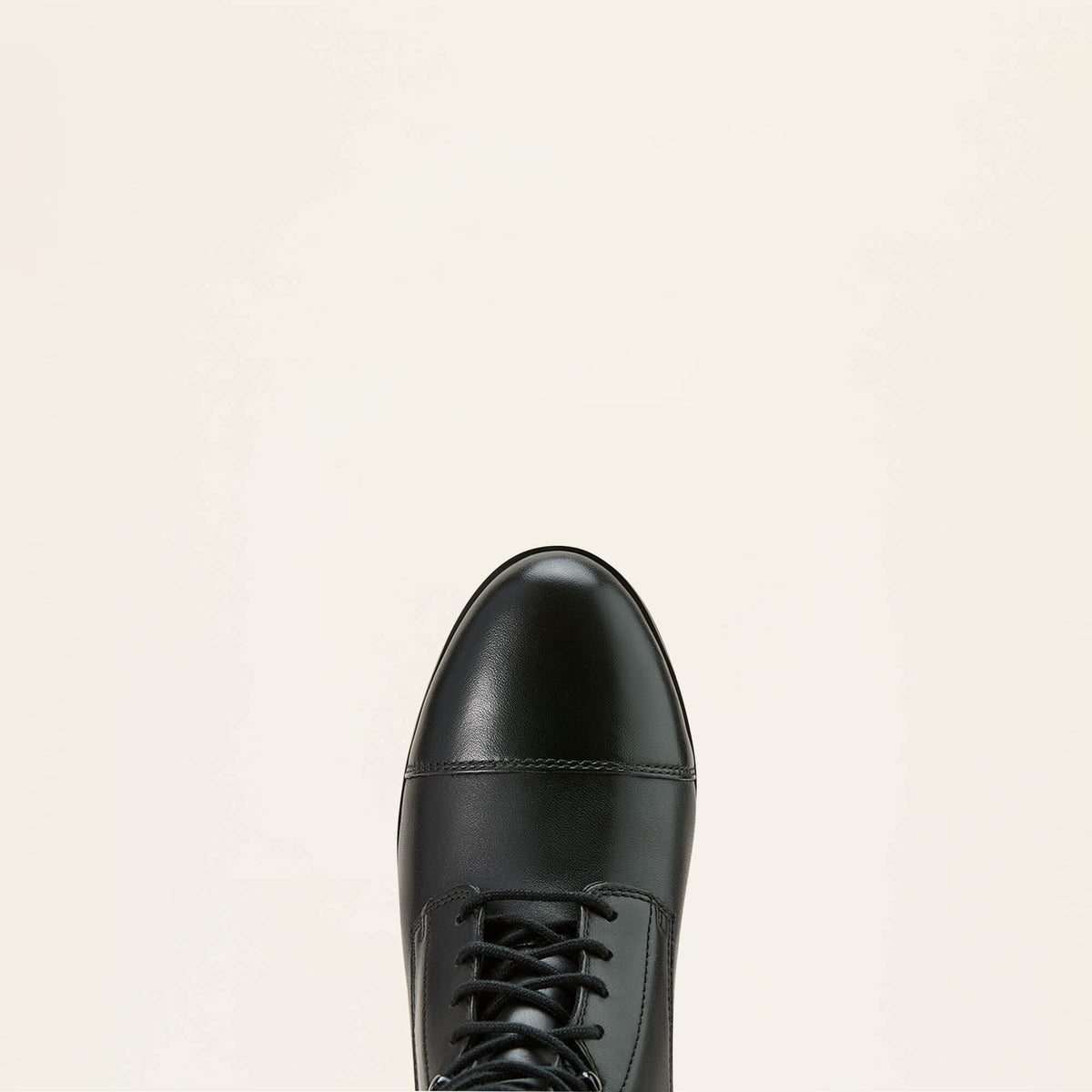 Ariat Essential | Heritage Lace Paddock Boot