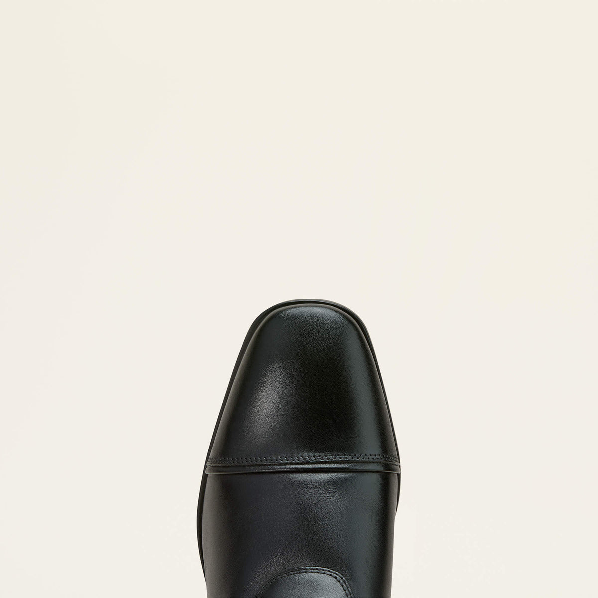 Ariat Best Seller | Palisade Dress Tall Riding Boot