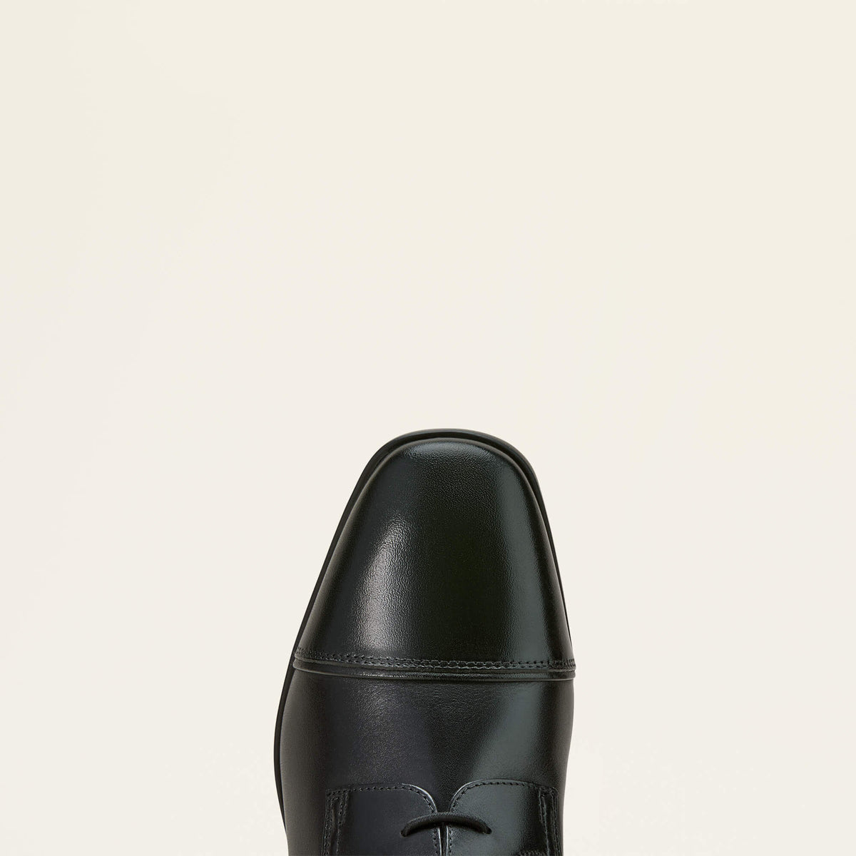 Ariat Essential | Palisade Field Tall Riding Boot