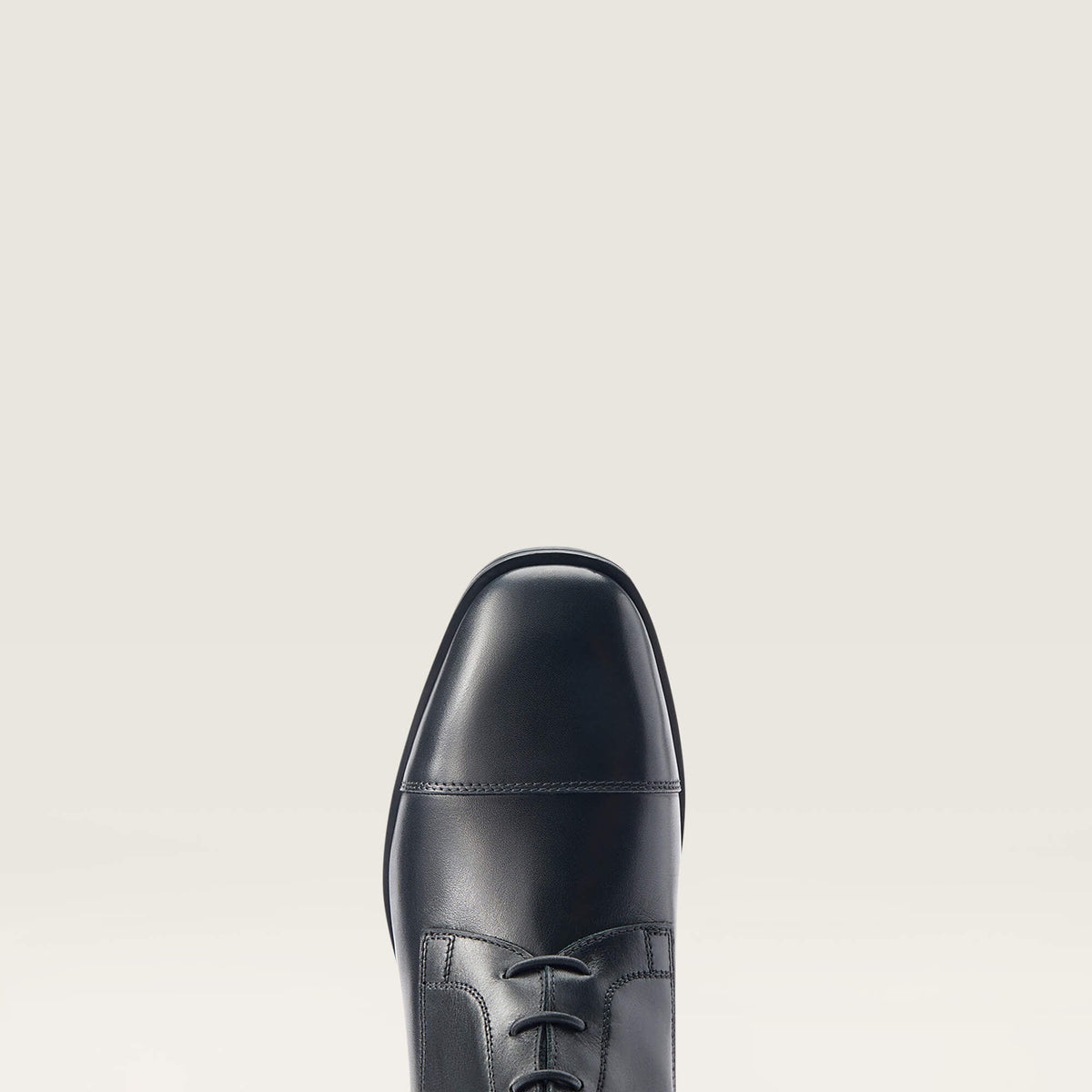Ariat Everyday | Ravello Tall Riding Boot