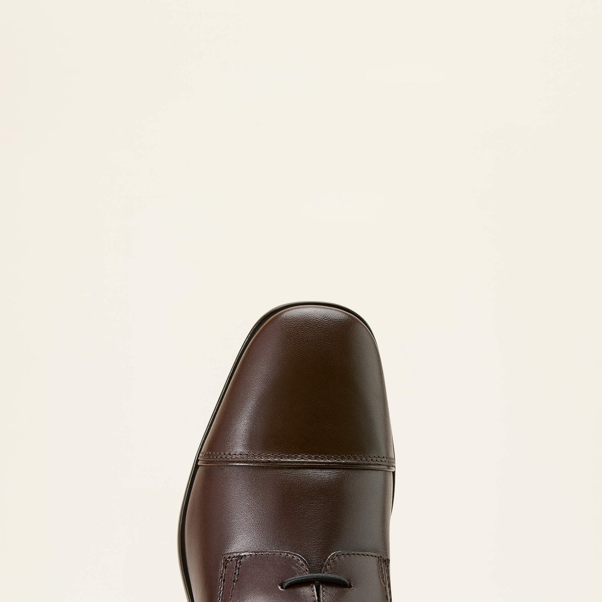 Ariat Popular | Palisade Field Tall Riding Boot
