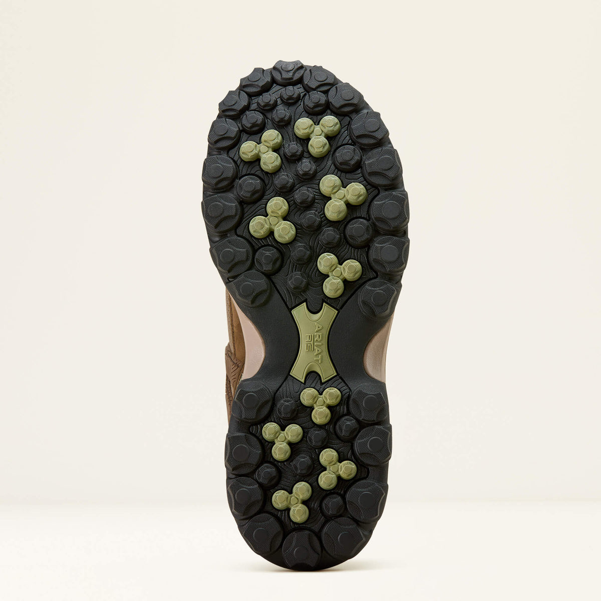 Ariat Popular | Traverse Low Waterproof Hiking Shoe