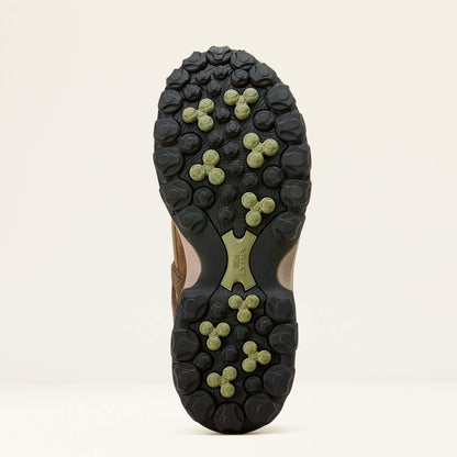 Ariat Popular | Traverse Low Waterproof Hiking Shoe