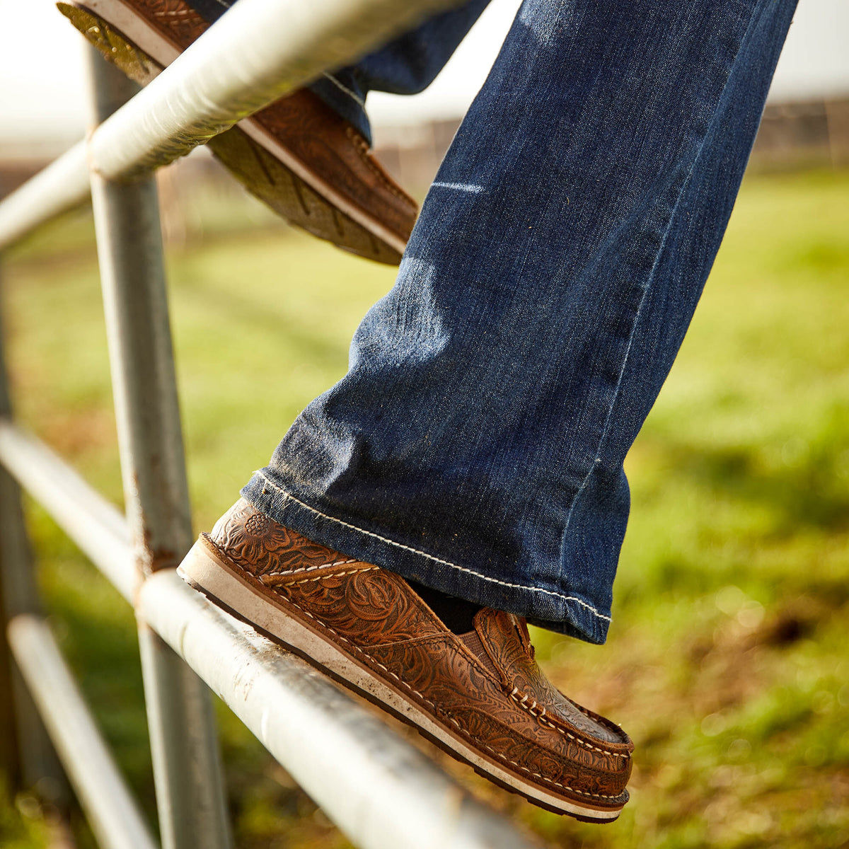 Ariat Exclusive | Cruiser