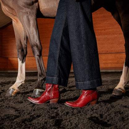 Ariat Top Pick | Casanova X Toe Western Boot
