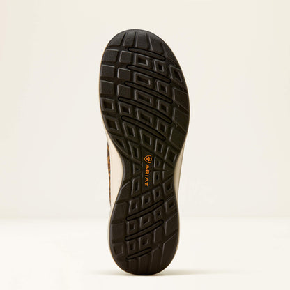 Ariat Everyday | Buckeye Steel Toe Work Shoe