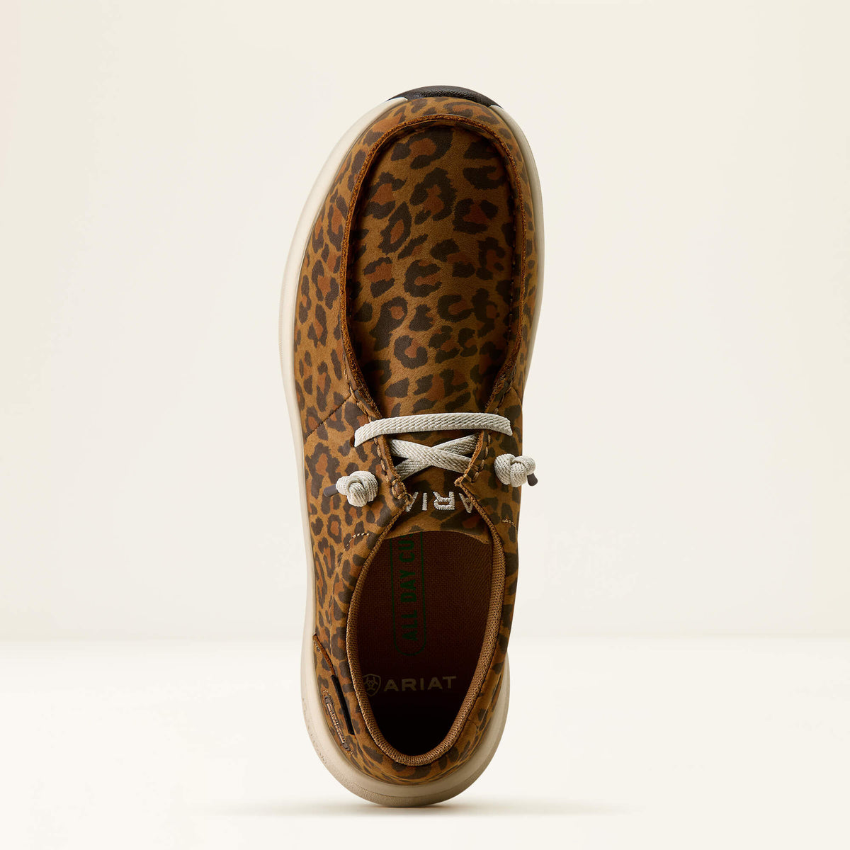 Ariat Everyday | Buckeye Steel Toe Work Shoe