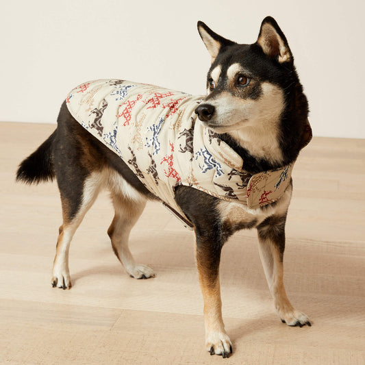 Ariat Value | Pup Puffer Jacket