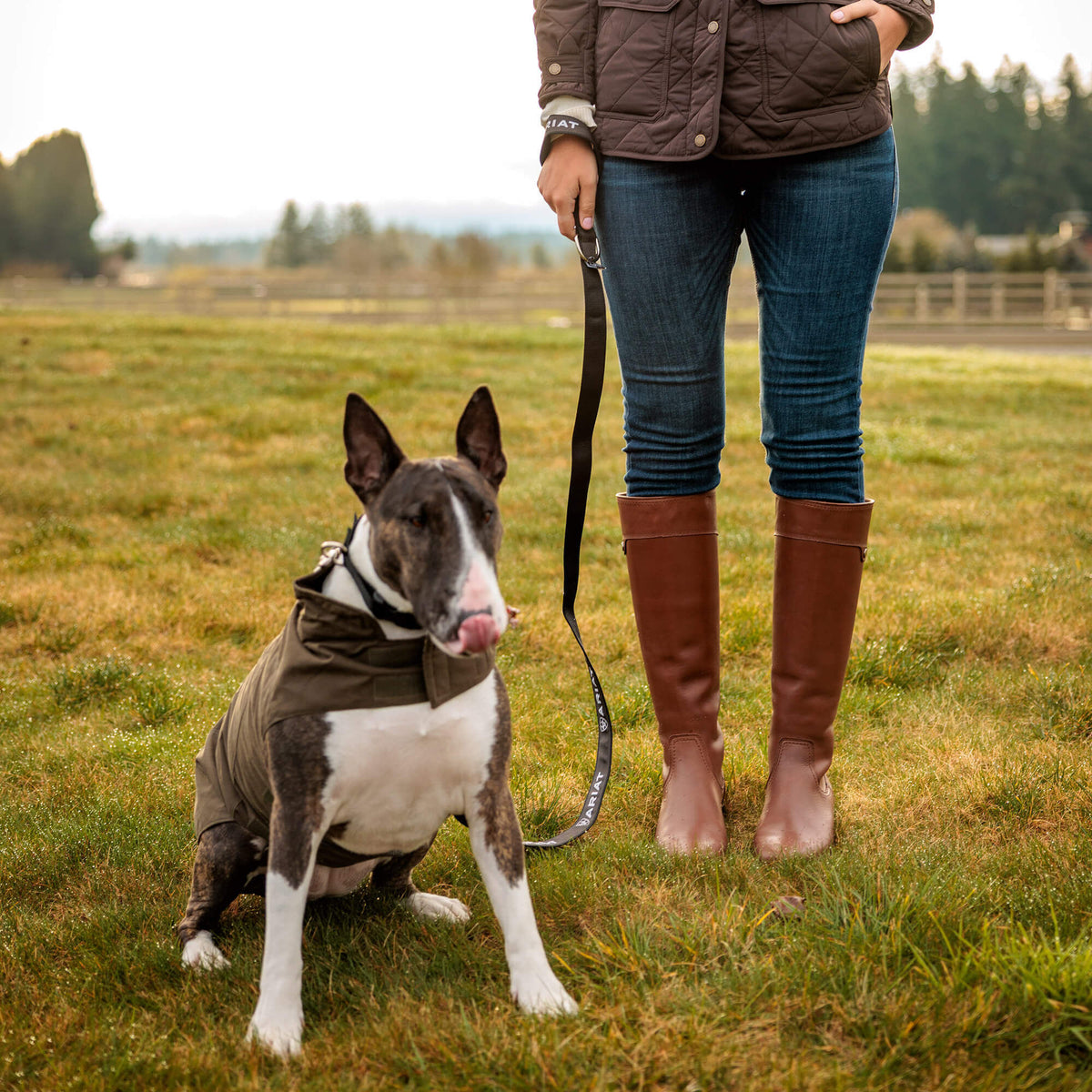 Ariat Sale | Argentium Dog Jacket