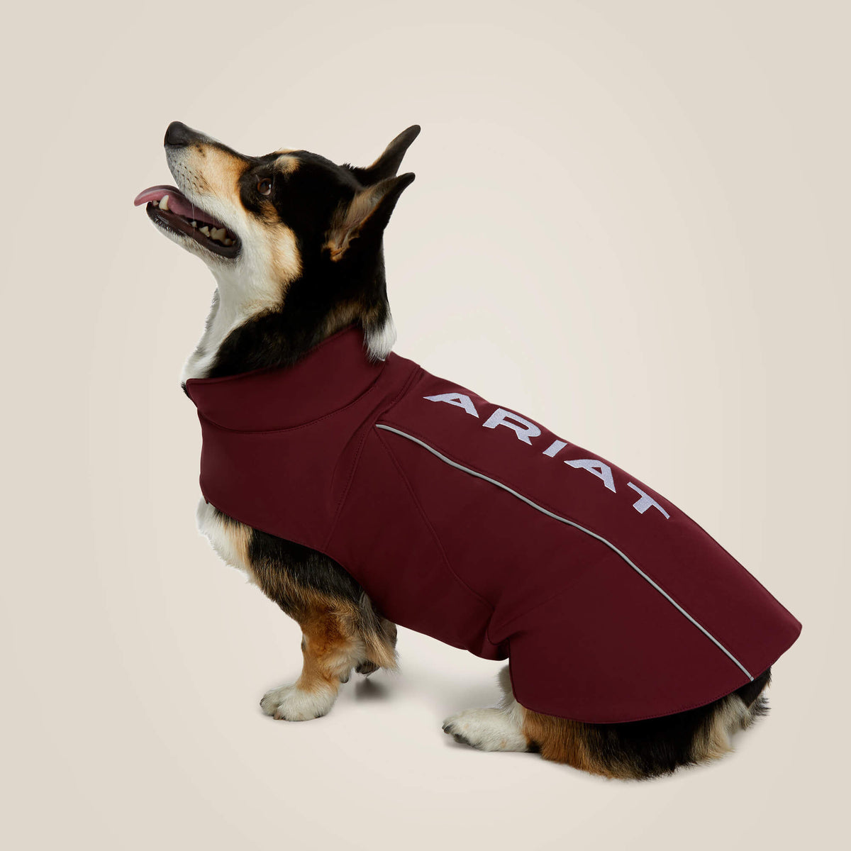Ariat Recommended | Team Softshell Dog Jacket