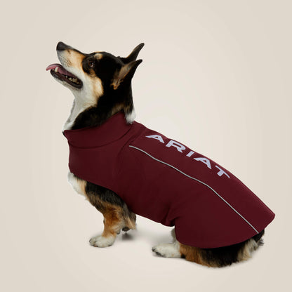Ariat Recommended | Team Softshell Dog Jacket