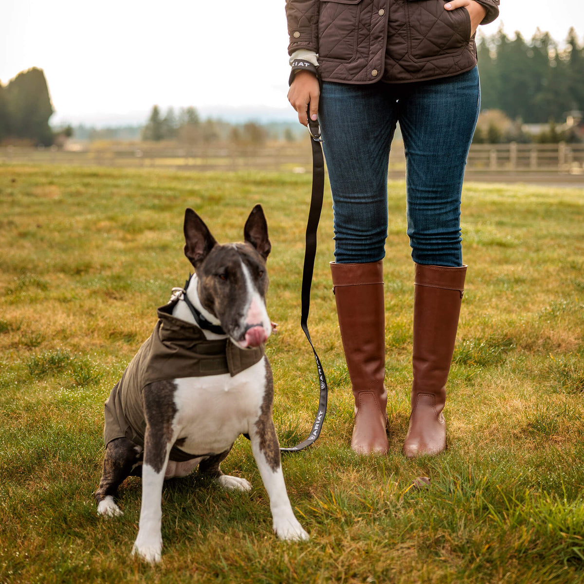 Ariat Great Value | Dog Leash