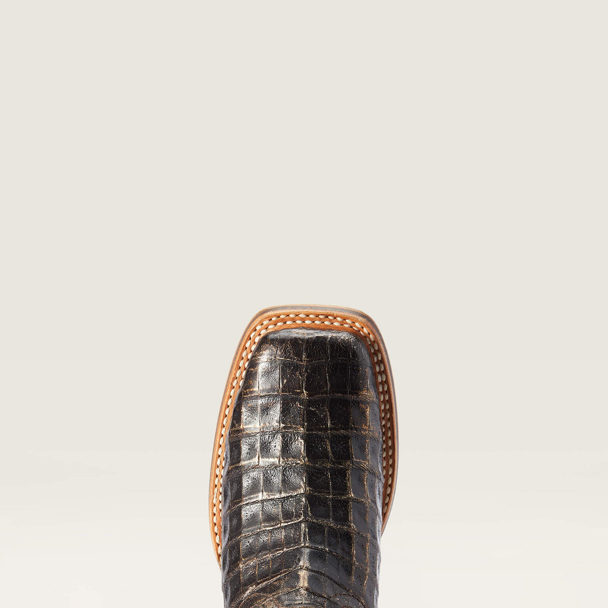 Ariat Value | Donatella Western Boot