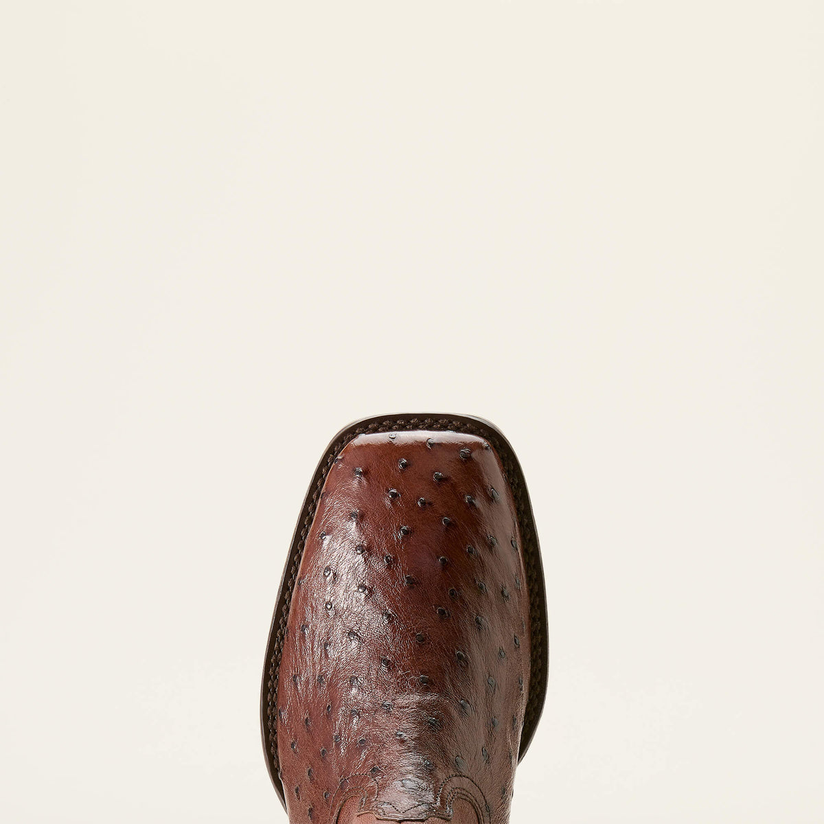 Ariat Popular | Booker Chelsea Wide Square Toe Western Boot