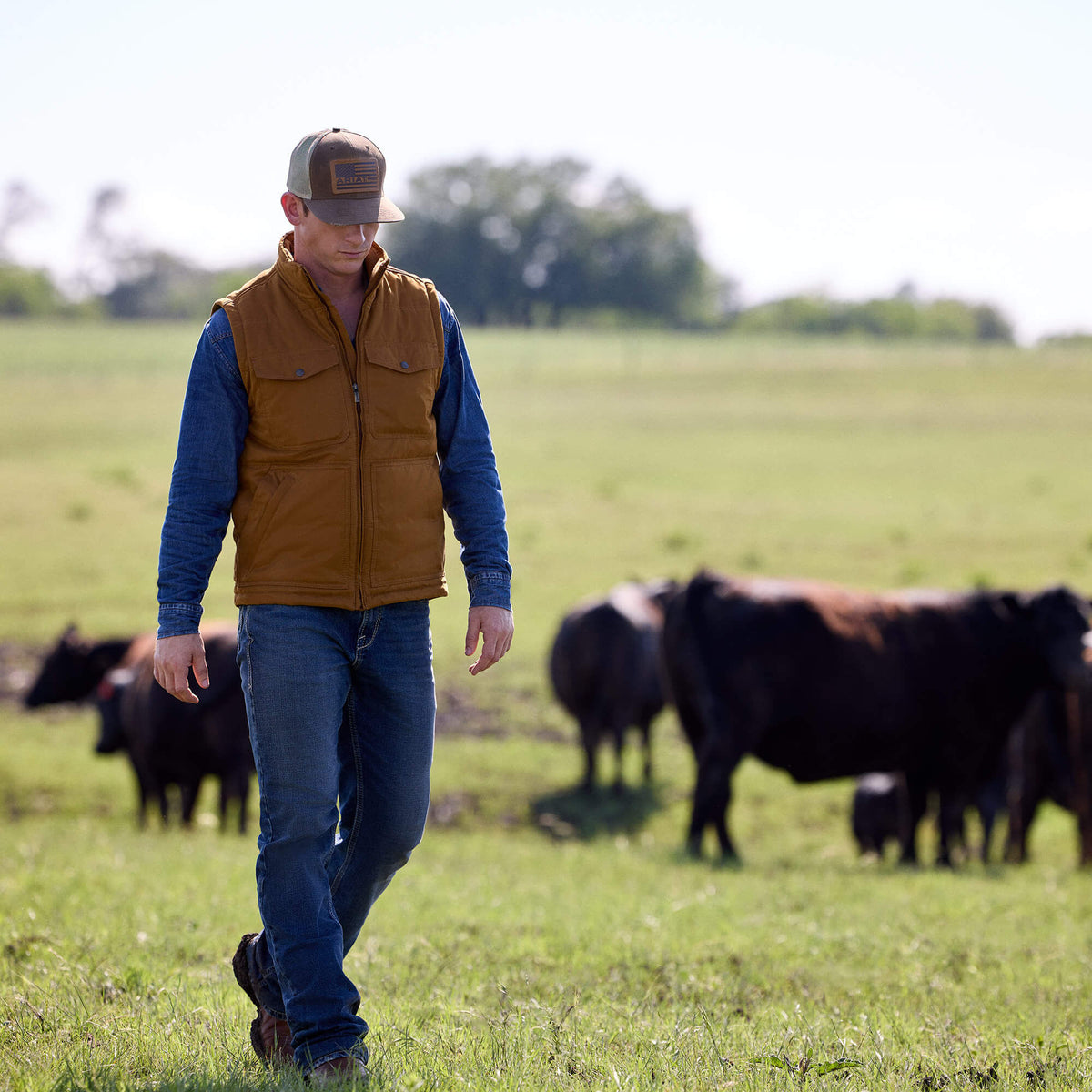 Ariat Discount | M7 Slim Sawyer Classic Rise Straight Leg Jeans
