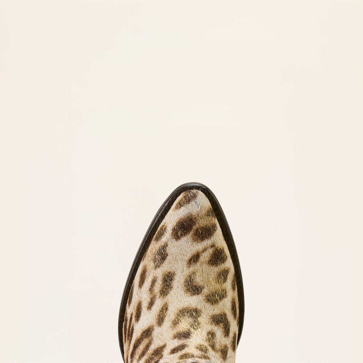 Ariat Trusted | Julietta J Toe Western Boot