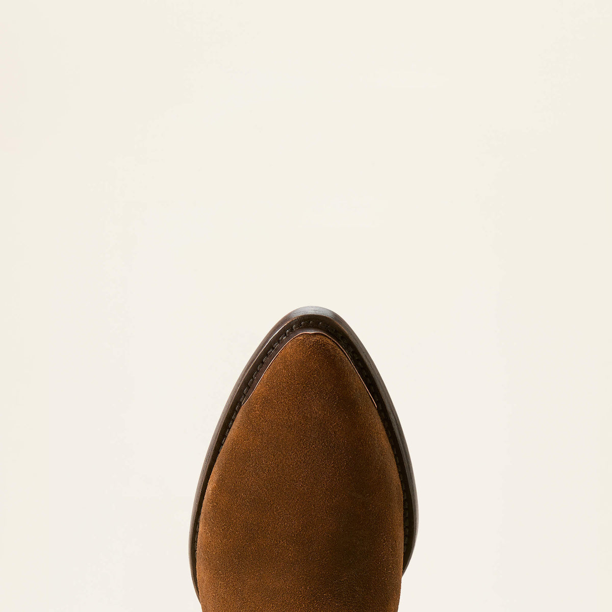 Ariat Trusted | Shiloh Bootie