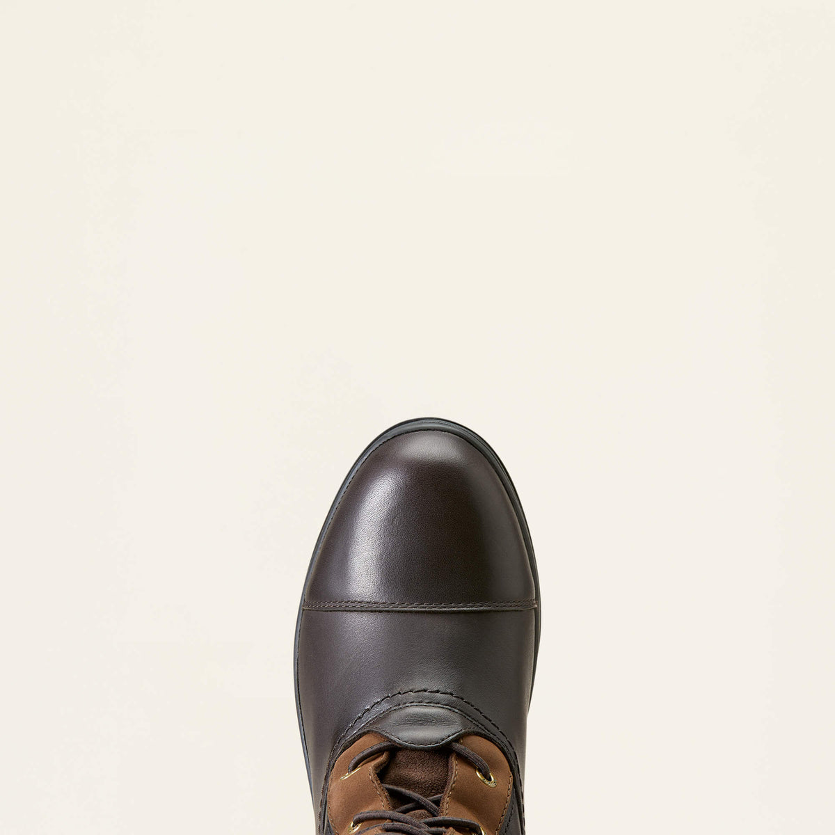 Ariat Sale | Coniston Max Waterproof Insulated Boot