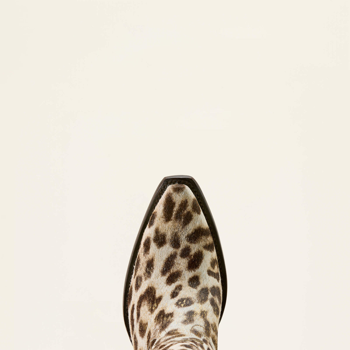 Ariat Hot Sale | Casanova X Toe Western Boot