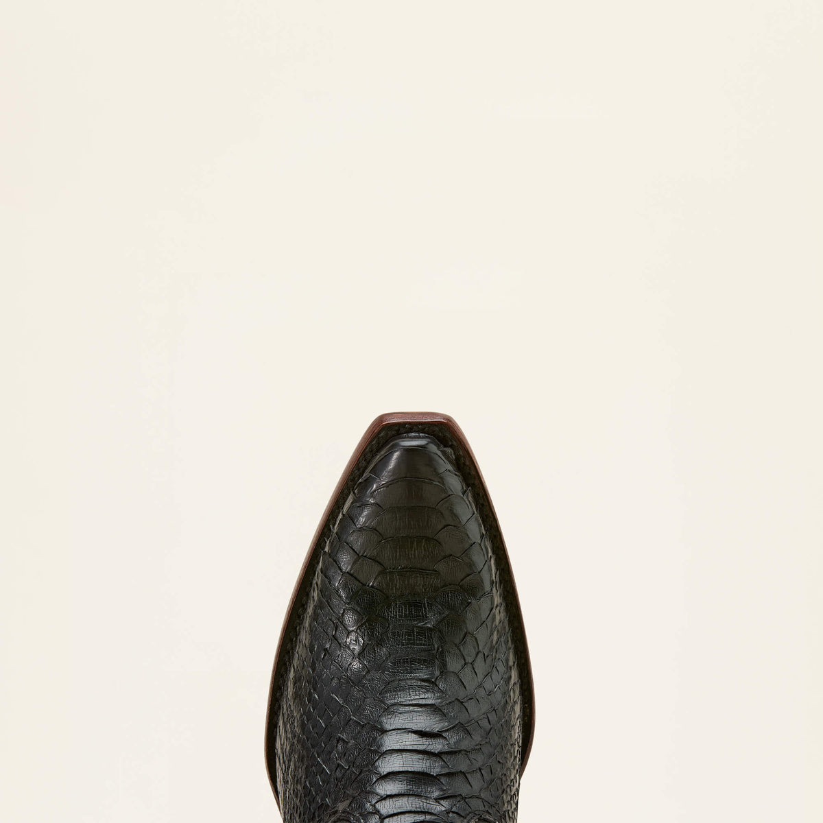 Ariat Value | Amora Star X Toe Western Boot