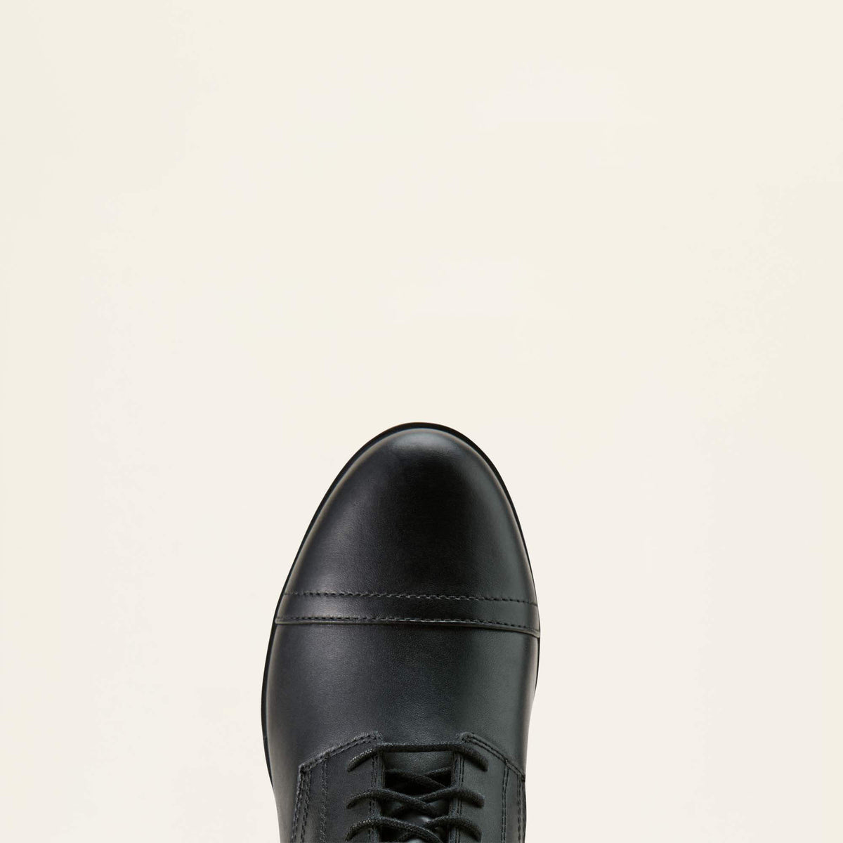 Ariat Trusted | Scout Paddock Boot