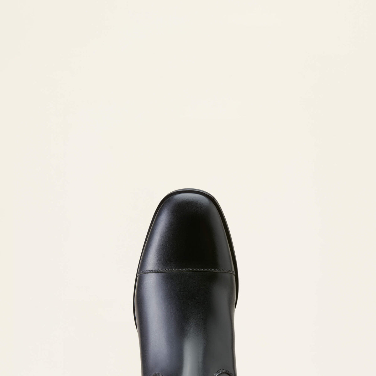 Ariat New | Ravello Dress Tall Riding Boot