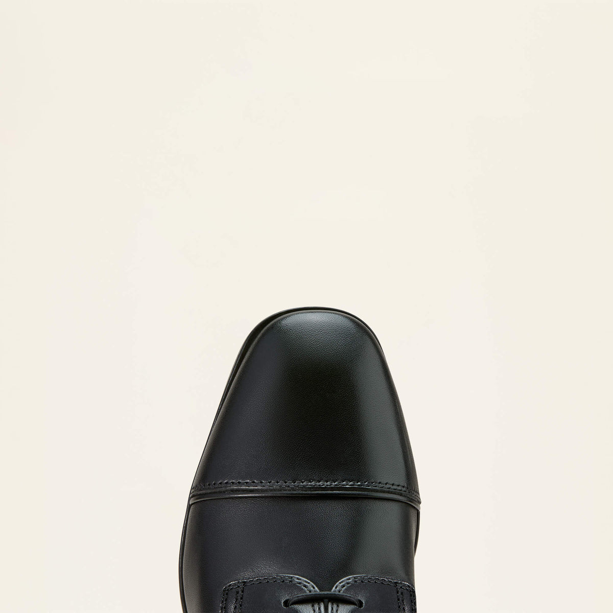 Ariat Sale | Palisade Lace Tall Riding Boot