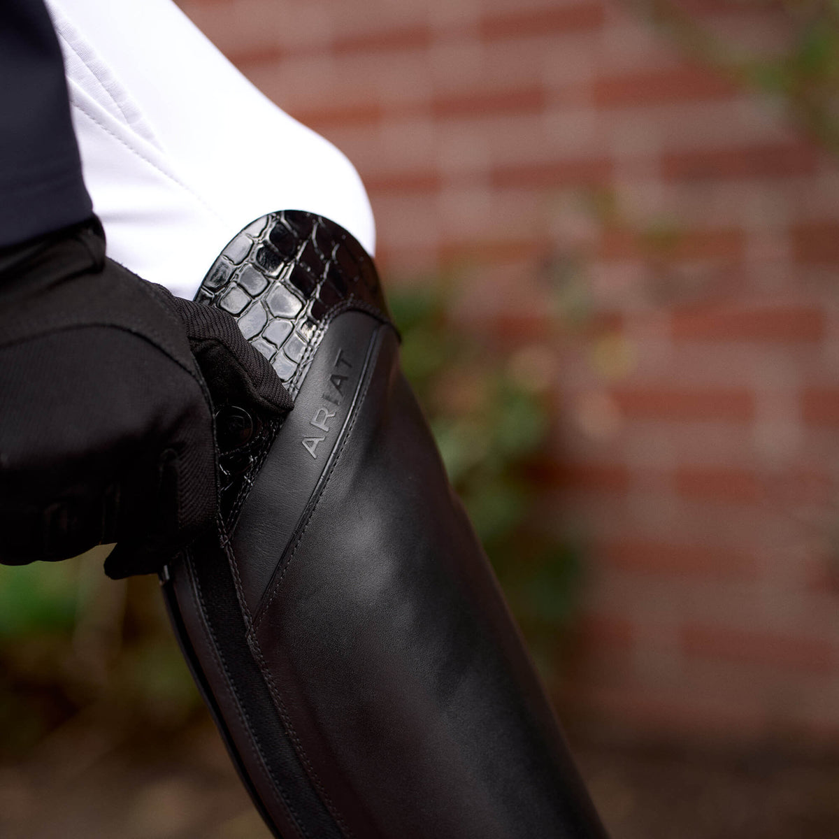 Ariat Great Value | Palisade Show Tall Riding Boot