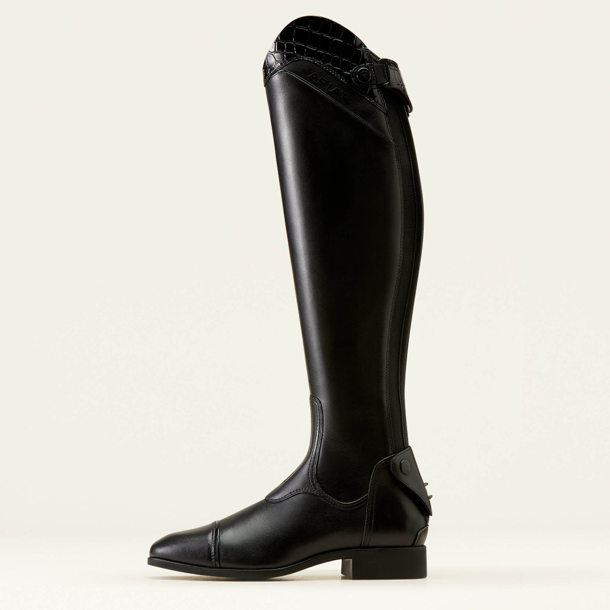 Ariat Great Value | Palisade Show Tall Riding Boot