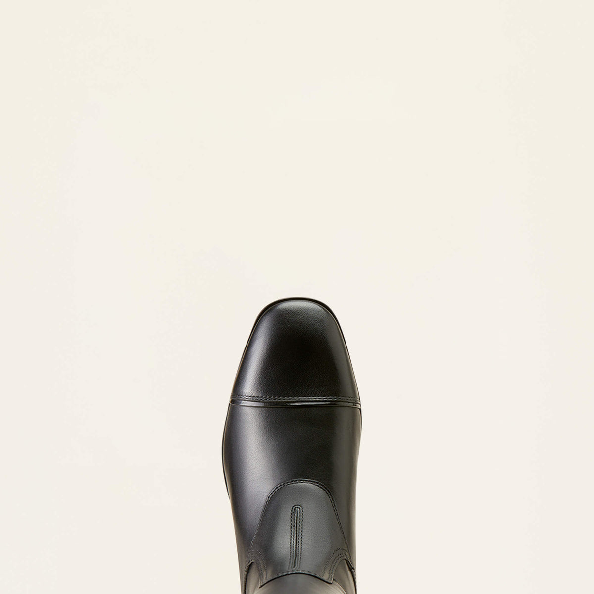 Ariat Great Value | Palisade Show Tall Riding Boot