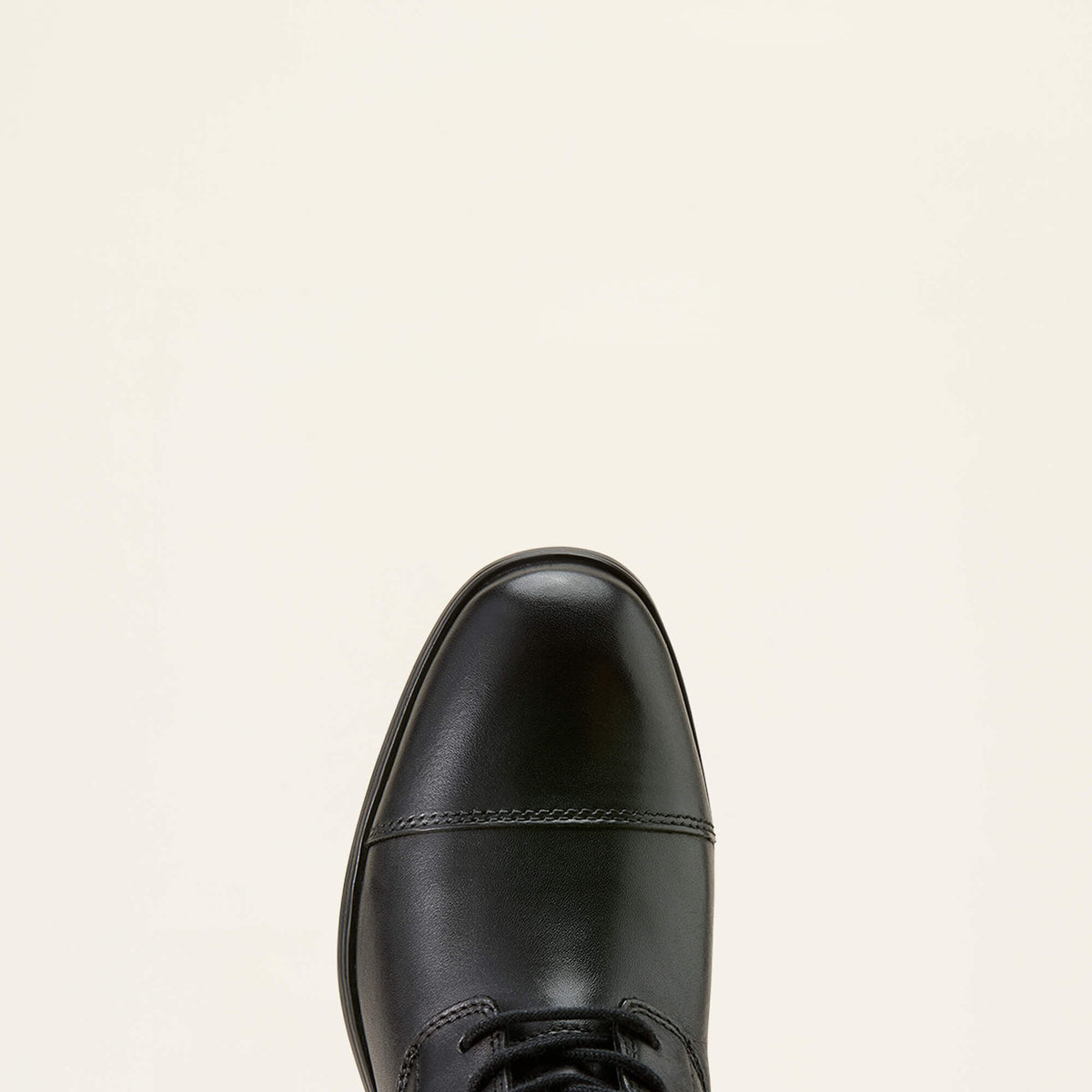 Ariat Signature | Kendall Back Zip Lace Paddock Boot