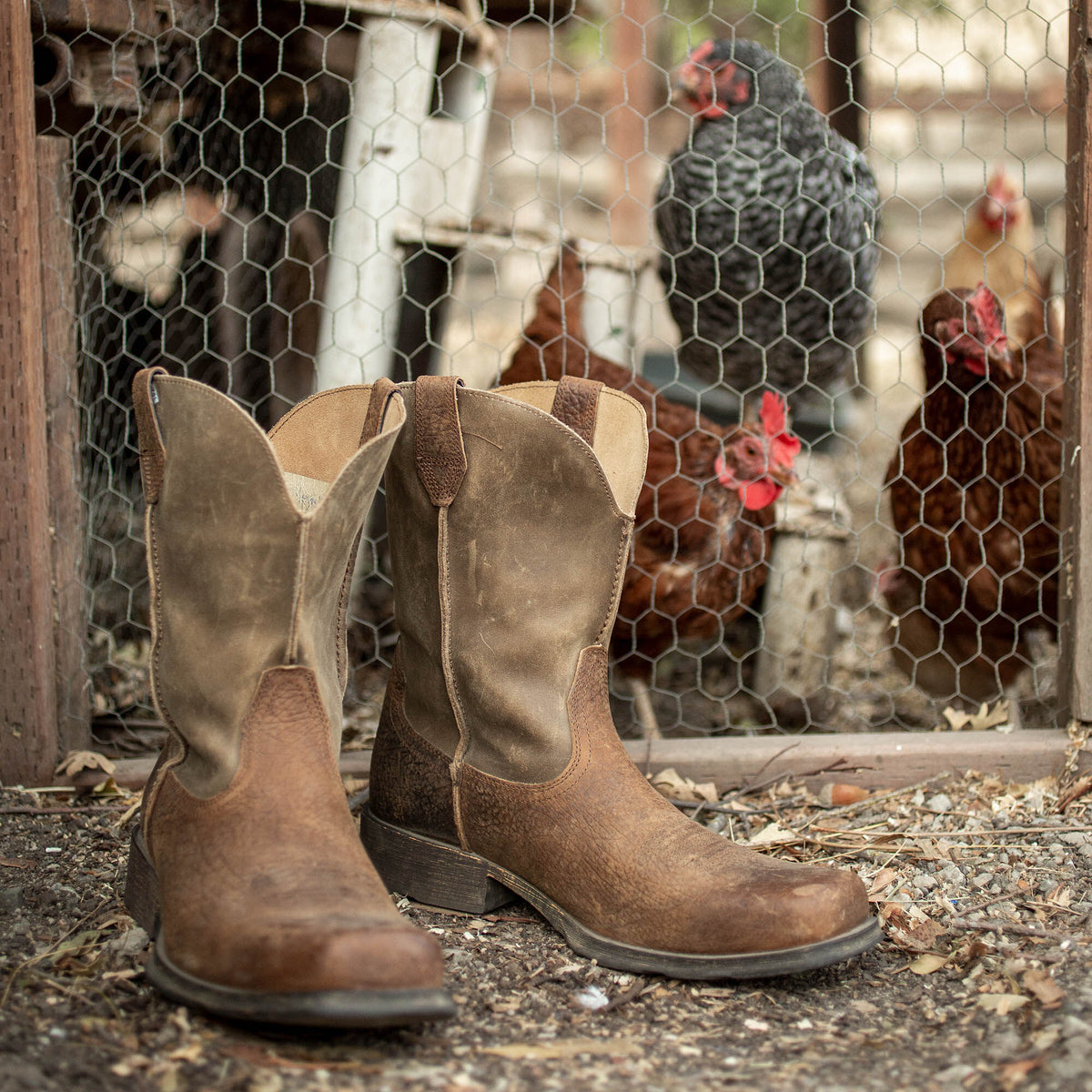 Ariat Quality | Rambler Western Boot