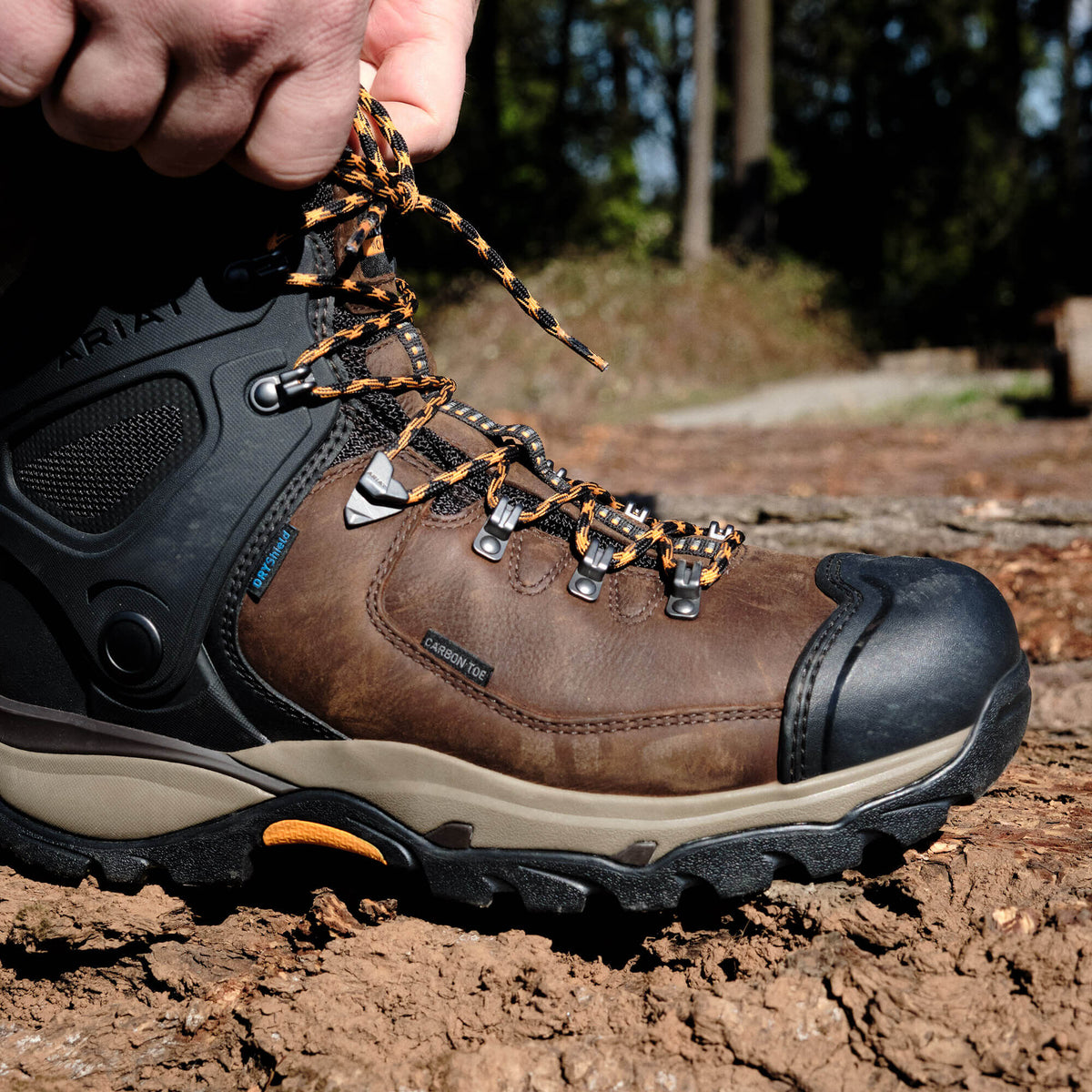 Ariat Great Value | Endeavor 6" Waterproof Carbon Toe Work Boot